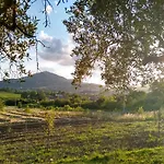 Le Piracante Bed and Breakfast Caiazzo