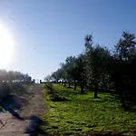 לינה וארוחת בוקר Le Piracante