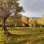 Le Piracante Bed & Breakfast