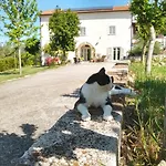 Le Piracante 4*