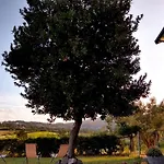 Le Piracante Caiazzo