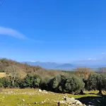 Le Piracante