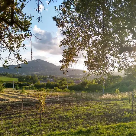 Le Piracante Oda ve Kahvaltı Caiazzo