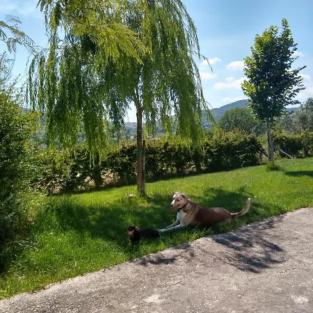 Le Piracante Bed & Breakfast