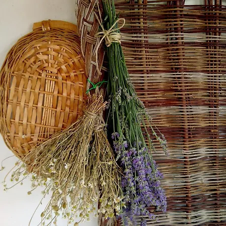 Bed & Breakfast Le Piracante Caiazzo