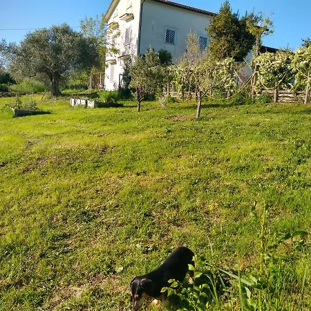 Bed & Breakfast Le Piracante Caiazzo