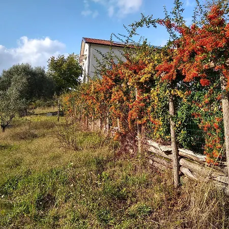 Bed & Breakfast Le Piracante