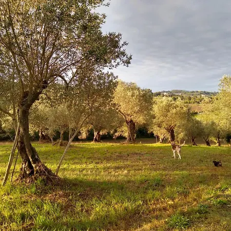 Le Piracante Bed & Breakfast