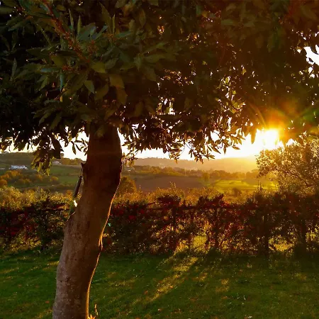 Le Piracante Bed & Breakfast Caiazzo