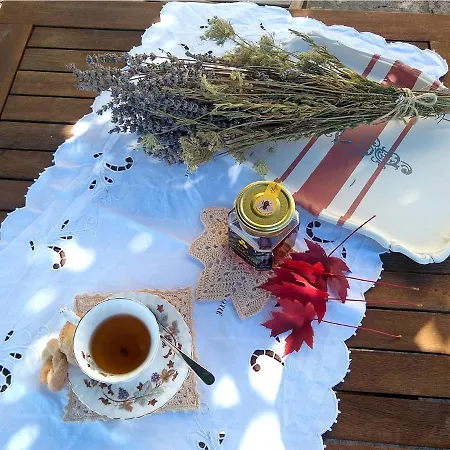 Le Piracante Bed & Breakfast *