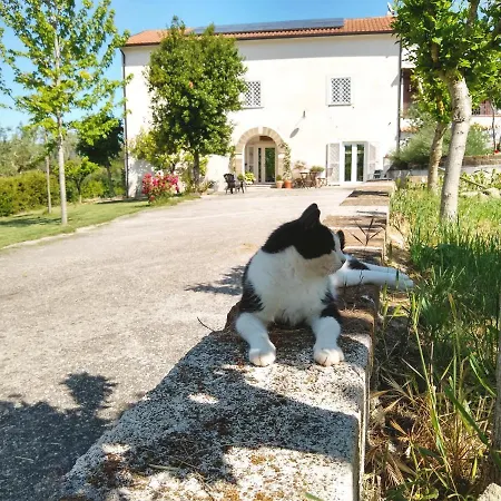 Le Piracante *