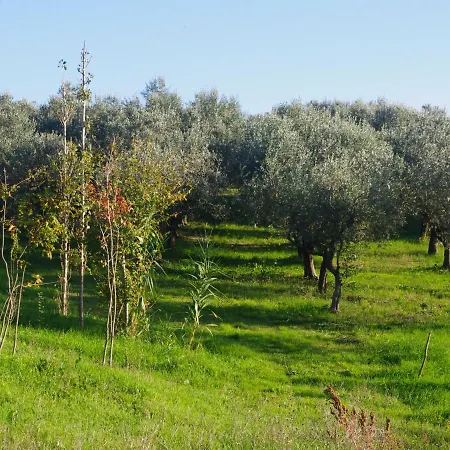Le Piracante Bed & Breakfast *