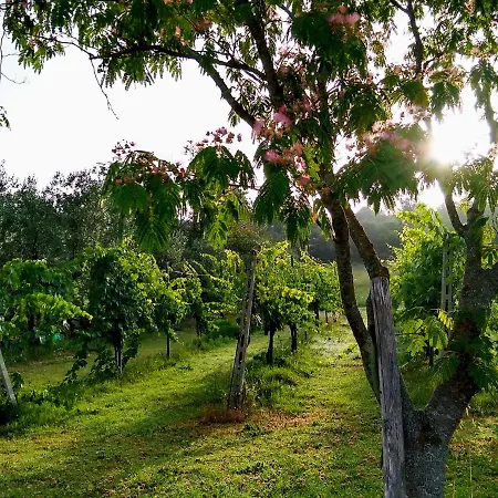 Oda ve Kahvaltı Le Piracante Caiazzo