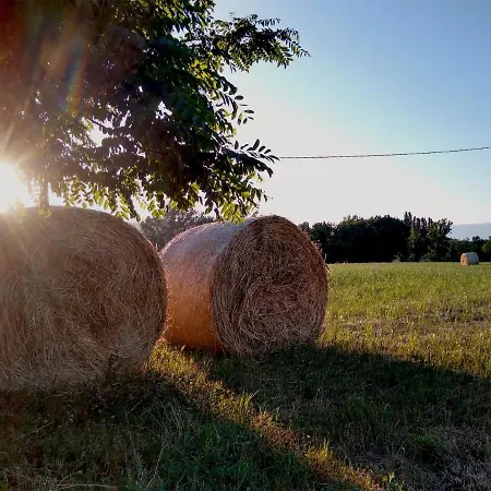Le Piracante Bed & Breakfast Caiazzo