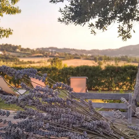 Le Piracante Bed & Breakfast Caiazzo