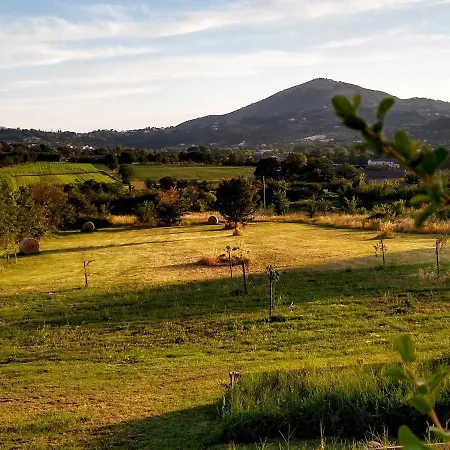 Le Piracante Bed & Breakfast *