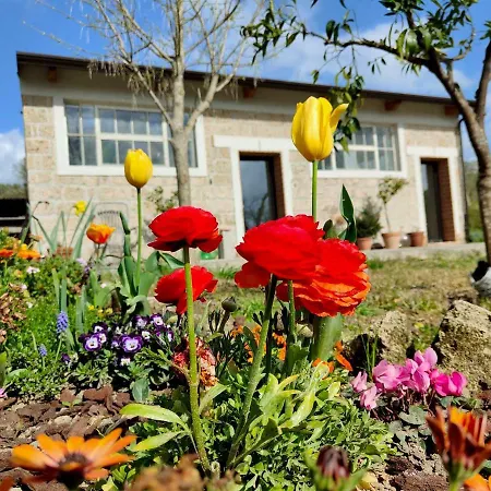 Le Piracante Bed & Breakfast *