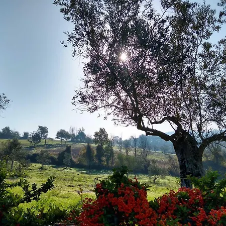 Le Piracante Bed & Breakfast *