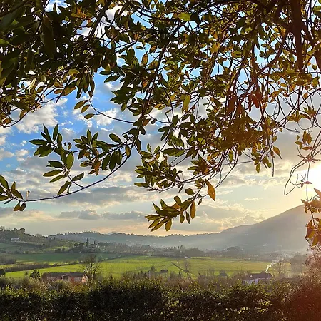 Bed & Breakfast Le Piracante Caiazzo
