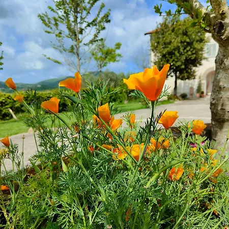 Le Piracante Bed & Breakfast Caiazzo