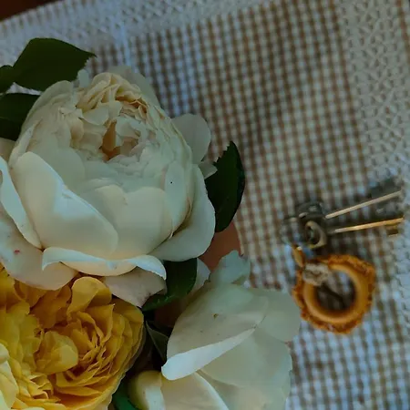 Le Piracante Panzió