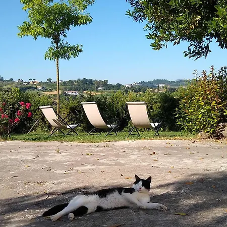 Bed & Breakfast Le Piracante Caiazzo
