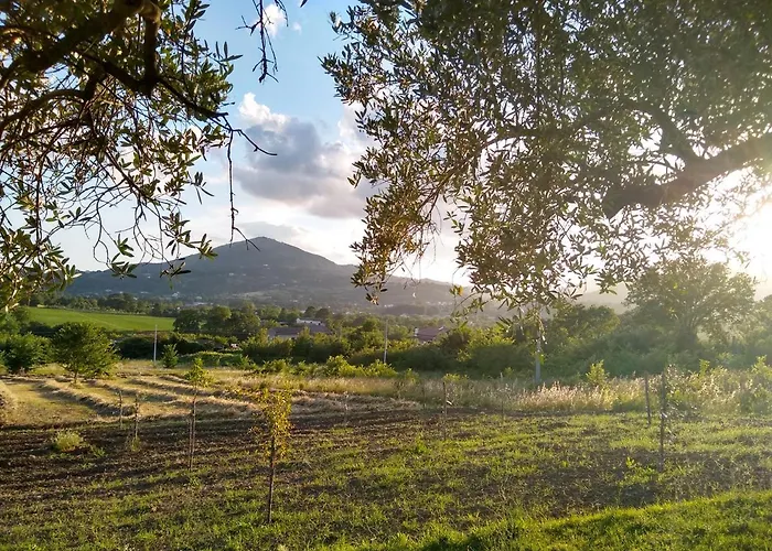 Le Piracante Alojamento de Acomodação e Pequeno-almoço Caiazzo