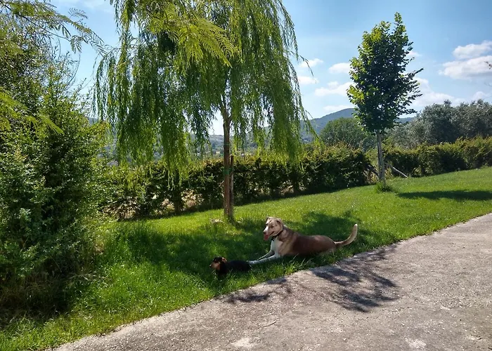 Le Piracante Alojamento de Acomodação e Pequeno-almoço